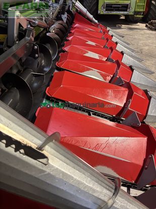 Cabezal - Dominoni - maispflücker sl968