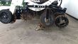Riego -  - stripcat ii