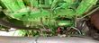 Cosechadora de Cereal - John Deere - 8500
