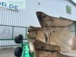 Arado - Pietro Moro - europa ev pr 16