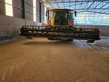 Cabezal de cereal plegable - TORT PLEG720