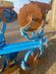Arado - Lemken - juwel 8mv 5 schaar
