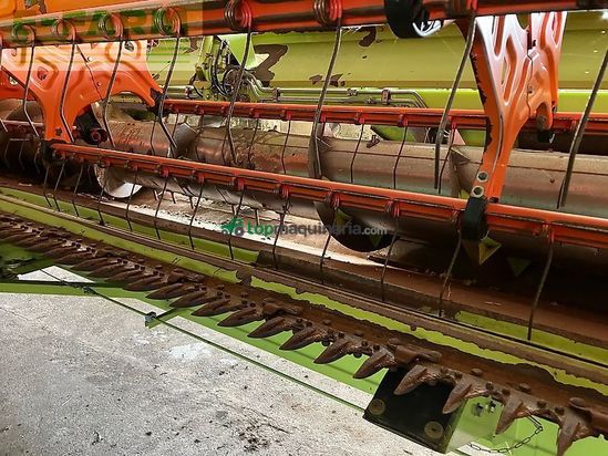 Cosechadora de Cereal - Claas - lexion 600