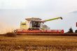 Cosechadora de Cereal - Claas - lexion 780 tt *allrad* + v1230