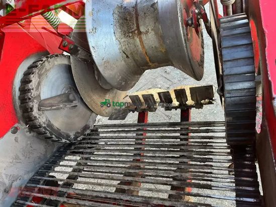 Cosechadora - arrancadora de patata - Grimme - se 85-55 sb