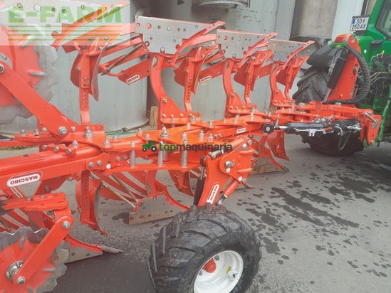 Arado - Maschio - unico m passo 4