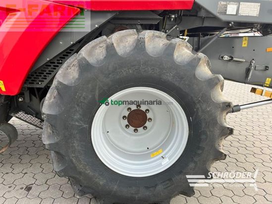 Cosechadora de Cereal - Massey Ferguson - beta 7370 + schneidwerk 6,80m