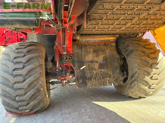 Cosechadora - arrancadora de patata - Grimme - se 260 ub