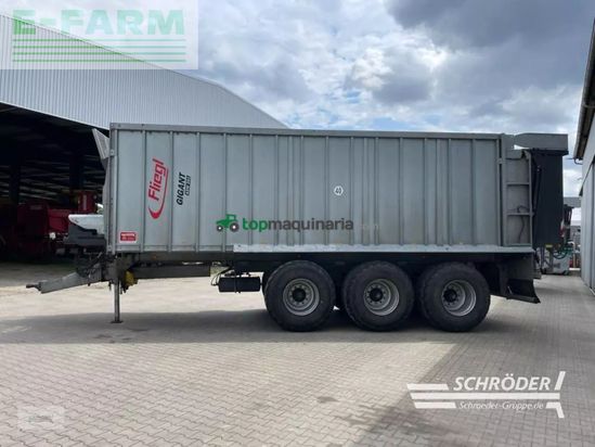 Cinta transportadora de forraje - Fliegl - asw 391 tridem
