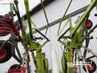 Rastrillo - Claas - liner 3600