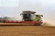 Cosechadora de Cereal - Claas - lexion 780 tt *allrad* + v1230