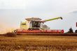 Cosechadora de Cereal - Claas - lexion 780 tt *allrad* + v1230
