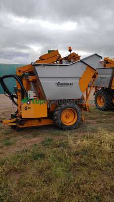 Vendimiadora - Grégoire - G60