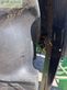 Tractor agrícola - John Deere - 6410 premium