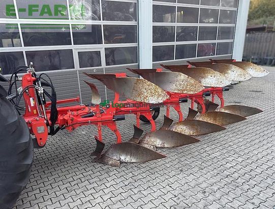 Arado - Maschio - unico l5 +vario nsh