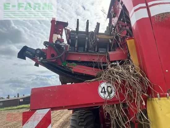 Cosechadora - arrancadora de patata - Grimme - se 260 ub nonstop