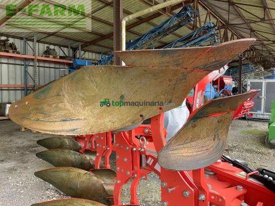 Arado - Gaspardo - unico