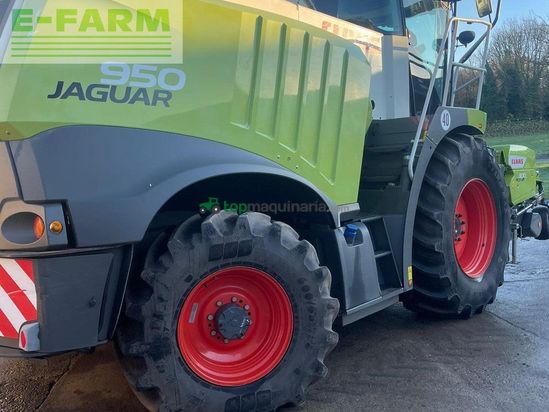 Cosechadora de Cereal - Claas - JAGUAR 950 C/W PU300