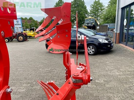 Arado - Maschio - unico m passo 4+