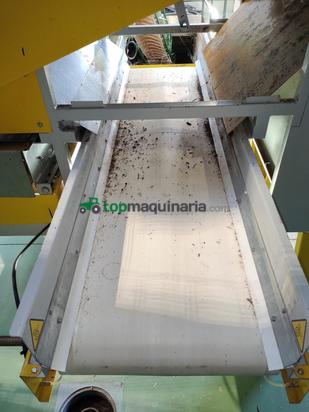 Limpiadora de aceitunas ALMAZARA