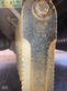 Empacadora gigant - Krone - big pack 1290 xc pre chop