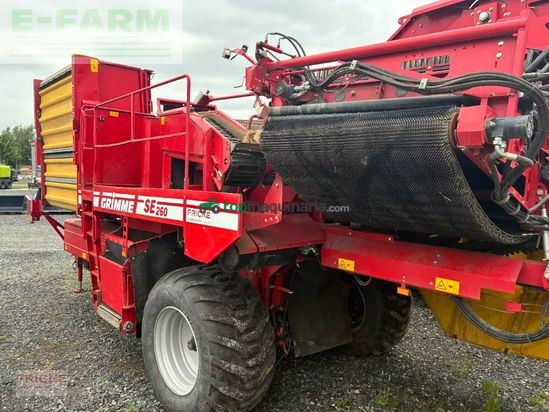 Cosechadora - arrancadora de patata - Grimme - se 260 ub