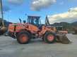 Palas cargadora DOOSAN DL250-3
