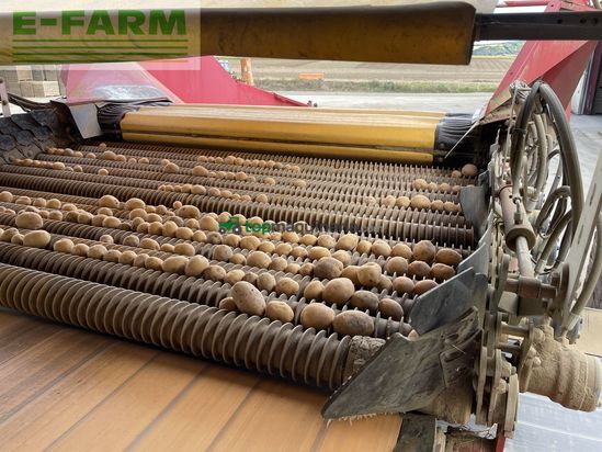 Cosechadora - arrancadora de patata - Grimme - rh24-60 combi