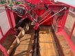 Cosechadora de Cereal - Grimme - rexor 620 rüttelschar multiwelle