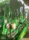 Empacadora gigant - John Deere - v451r