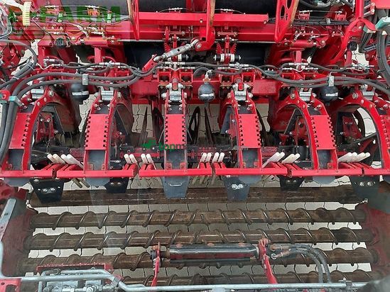 Cosechadora de Cereal - Grimme - rexor 6300 platinum