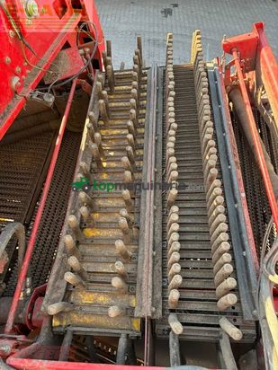 Cosechadora - arrancadora de patata - Grimme - se 260 ub