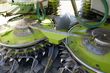 Cosechadora de Cereal - Claas - jaguar 950 4-trac inkl. claas orbis 600