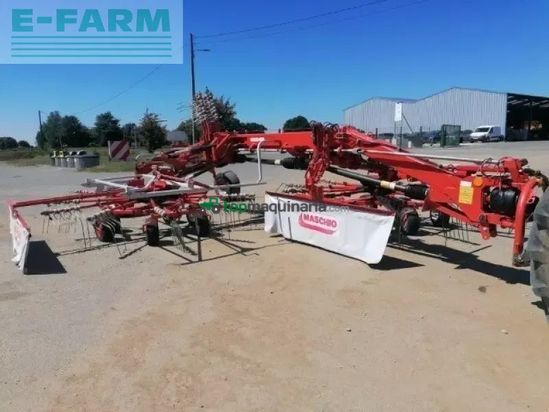 Rastrillo - Maschio - golia pro 2 h