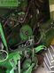 Empacadora gigant - John Deere - f440m