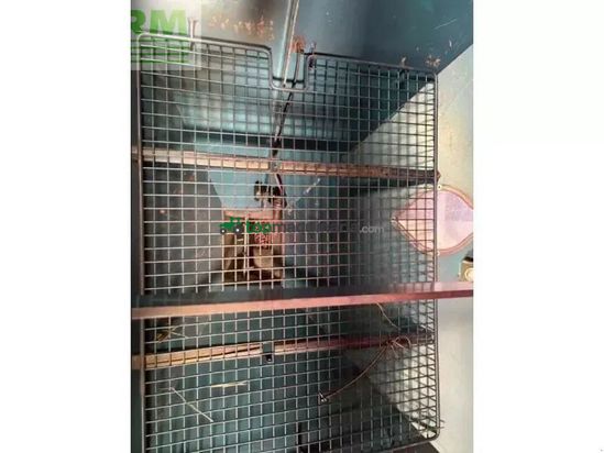 Combinado de siembra -  - sulky