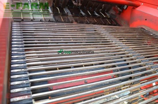 Cosechadora - arrancadora de patata - Grimme - evo 280 clodsep gen ii