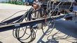 Equipamiento / accesorio - Fliegl - güllezubringer mit krone fahrgestell