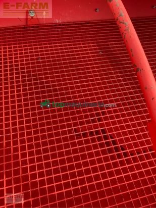 Sembradora monograno mecanica - Maschio - manta 8-reihig