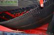 Cosechadora - arrancadora de patata - Grimme - evo 280 clodsep gen ii