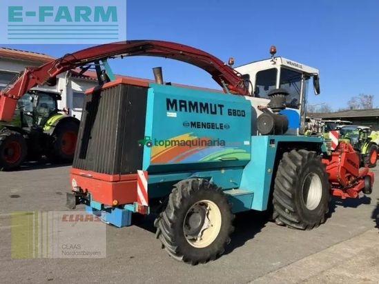 Cosechadora de Cereal - Mengele - gebr. mengele 6800 mammut