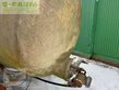 Equipamiento / accesorio - Fortschritt - hts100 + jurop pumpe