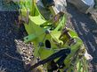 Cortacésped manual - Claas - disco 3500 contour