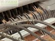 Empacadora gigant - Fendt - rotana 180v xtra cut welger