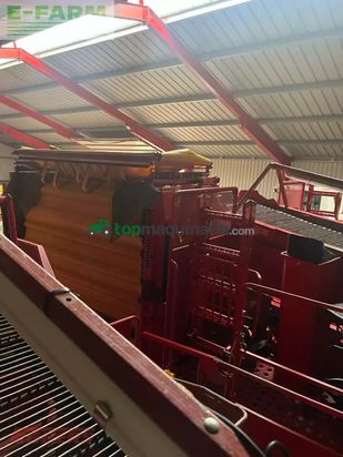 Cosechadora - arrancadora de patata - Grimme - evo 290 clodsep