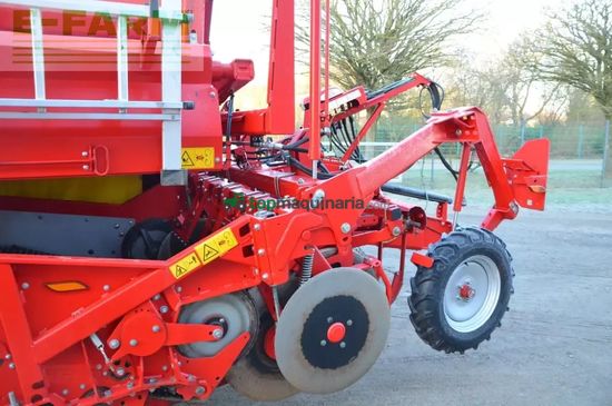 Cosechadora - arrancadora de patata - Grimme - evo 280 clodsep gen ii