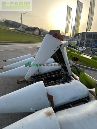 Cabezal - Claas - conspeed 6-70 fc - gebrauchter maispflücker