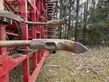 Cultivador - Güttler - super maxx 900-7a grubber