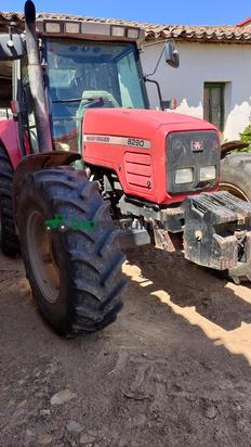 Tractor agrícola - Massey Ferguson - 6290  (4RM)