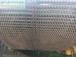 Cosechadora - arrancadora de patata - WM Kartoffeltechnik - wm 8500